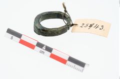 Foto von Bronzering (NHMW-PRAE-025743)